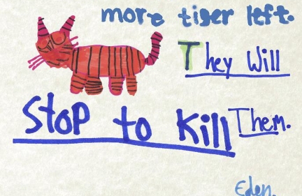 “Keep the next generation wild.” Saving Wild Tigers